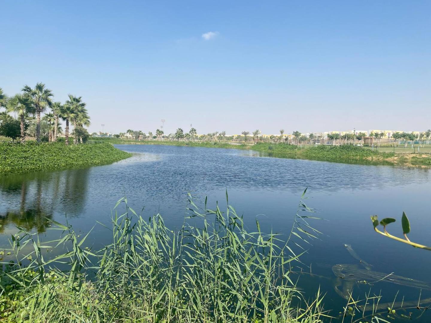 Villa Victoria Damac Hills 2 Family Retreat With Waterpark And Petting Farm Dubai Bagian luar foto